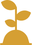 Sprouting seed icon